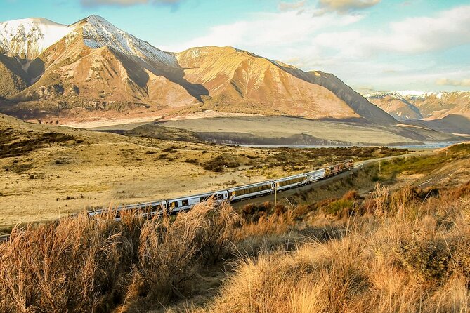 Arthur's Pass Discovery and TranzAlpine Train - Small Group Tour - The guide can make or break the day