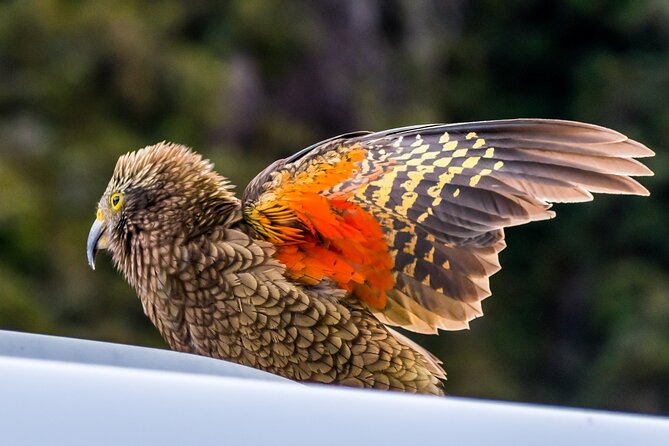 Arthur’s Pass Tour From Christchurch With Jet Boat & TranzAlpine - Arthur’s Pass Village puts you in the high country