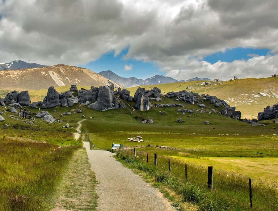 Arthur's Pass: TranzAlpine Train and Castle Hill Day Tour - Weather, fitness, and what to pack