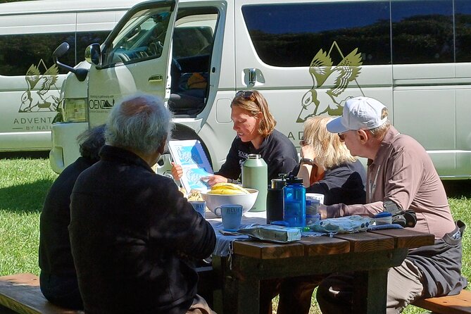 Arthur's Pass with optional TranzAlpine Train (Small Group Tour) - The TranzAlpine train upgrade