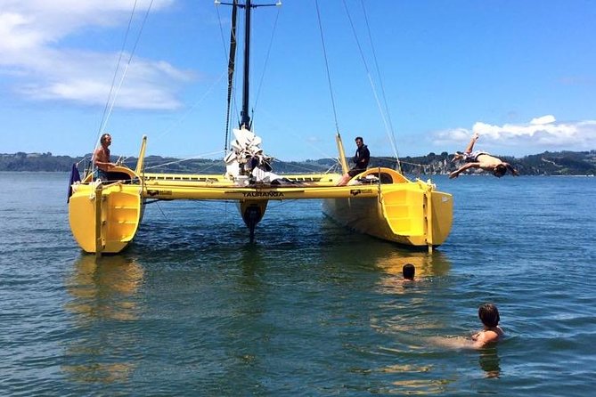 Arvo of goodness Chilled out Sail (3.5hrs) - What $89.98 buys you