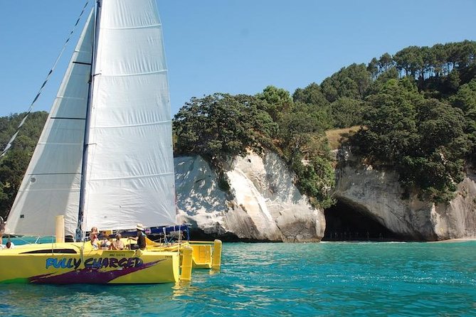 Arvo of goodness Chilled out Sail (3.5hrs) - Sailing past Coromandel’s rugged coast