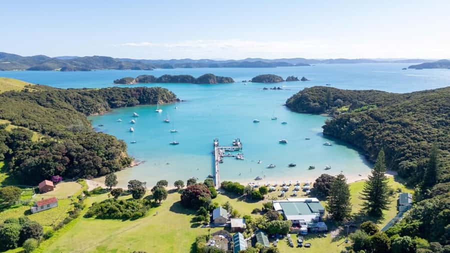 Auckland: 2-Day Bay of Islands Small Group Tour with Cruise - The Kauri Museum puts the forest in context