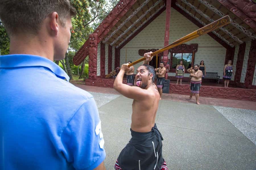 Auckland: 2-Day Bay of Islands Small Group Tour with Cruise - Waipoua Forest and the great kauri, Tāne Mahuta