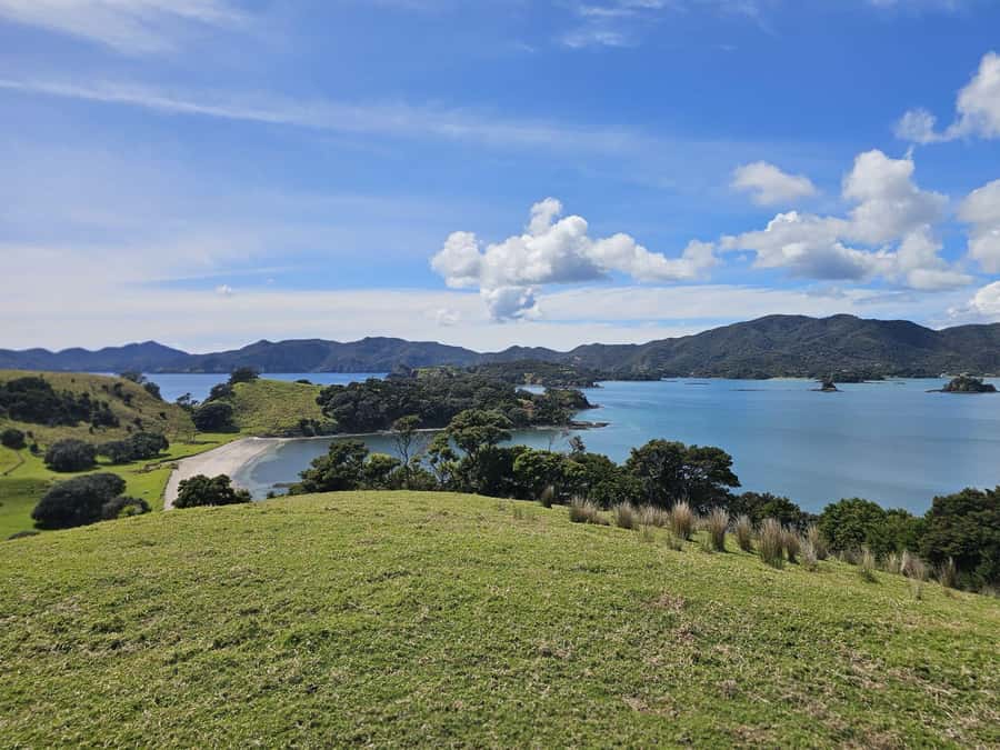 Auckland: 2-Day Bay of Islands Small Group Tour with Cruise - The 4.5-hour cruise is day two’s main event