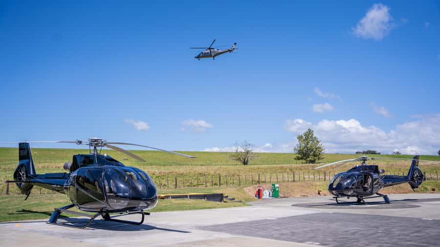 Auckland: 20min Helicopter scenic flight - City & Volcanoes - The first views: Harbour Bridge, Chelsea Sugar Works, and Auckland Zoo
