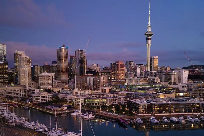 Auckland Airport Private One-Way or Round-Trip Transfer - One-way or round-trip value for small groups