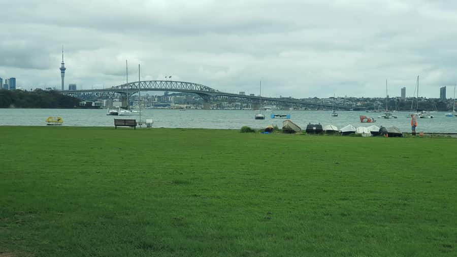 Auckland: Auckland City Tour 4 hours private - A smart first look at Auckland in four hours