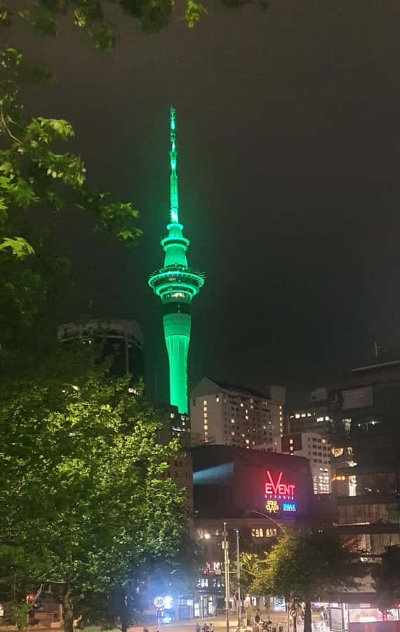 Auckland: Auckland City Tour 4 hours private - Mount Eden and Auckland’s volcanic setting