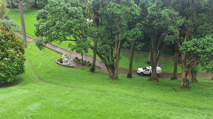 Auckland: Auckland City Tour 4 hours private - Starting in Auckland CBD with hotel pickup