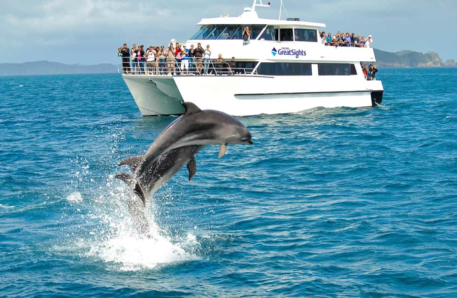 Auckland: Bay of Islands Day Tour with Dolphin Cruise - Practical advice for a smoother day