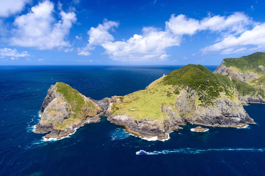 Auckland: Bay of Islands Day Tour with Dolphin Cruise - The return to Auckland after dark