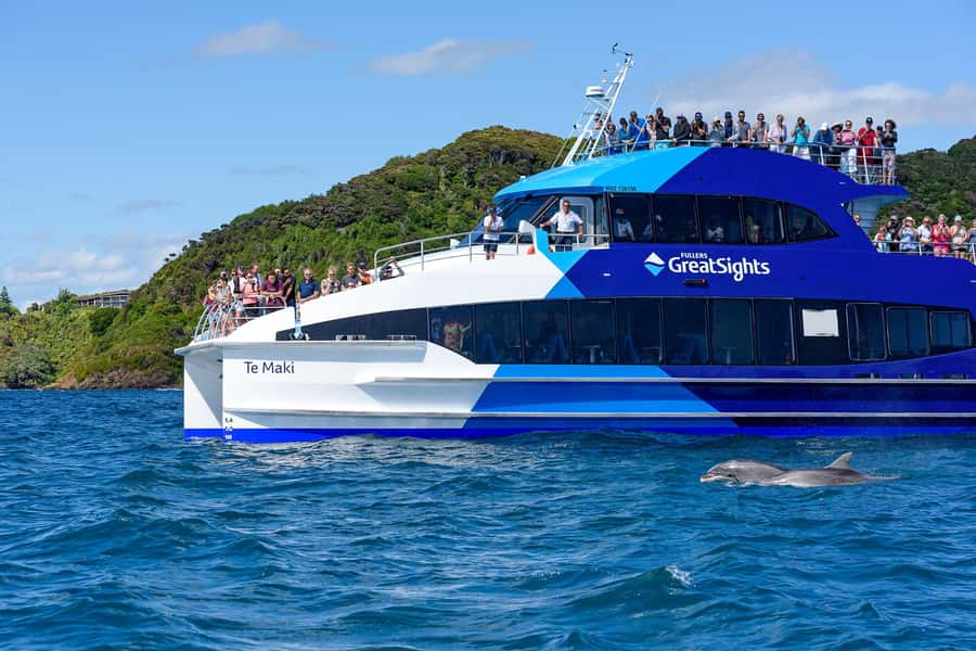 Auckland: Bay of Islands Day Tour with Dolphin Cruise - What the $283 price really buys you