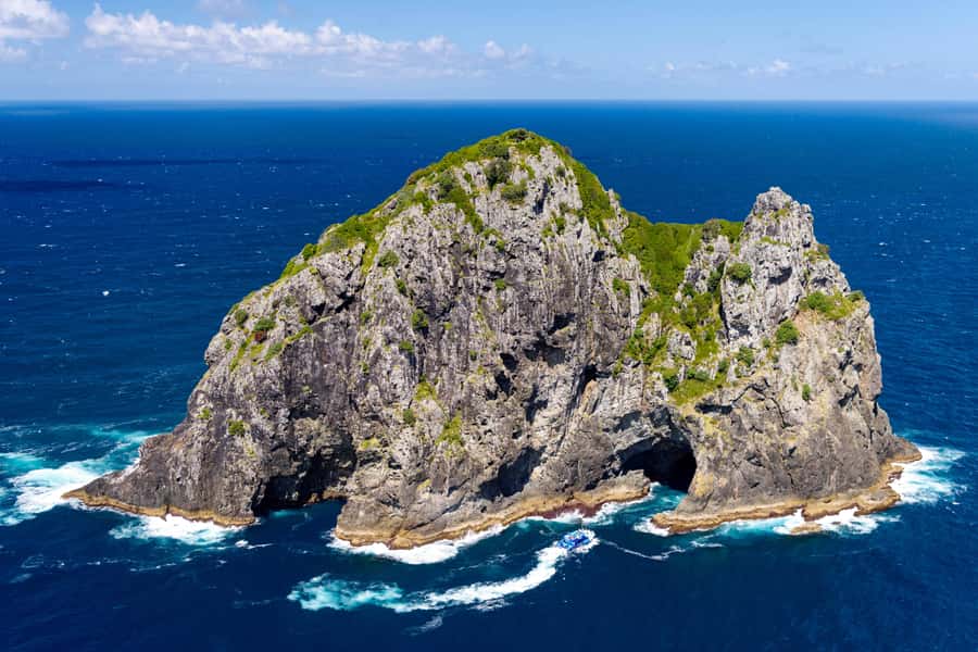 Auckland: Bay of Islands Day Tour with Dolphin Cruise - Who should book this experience?