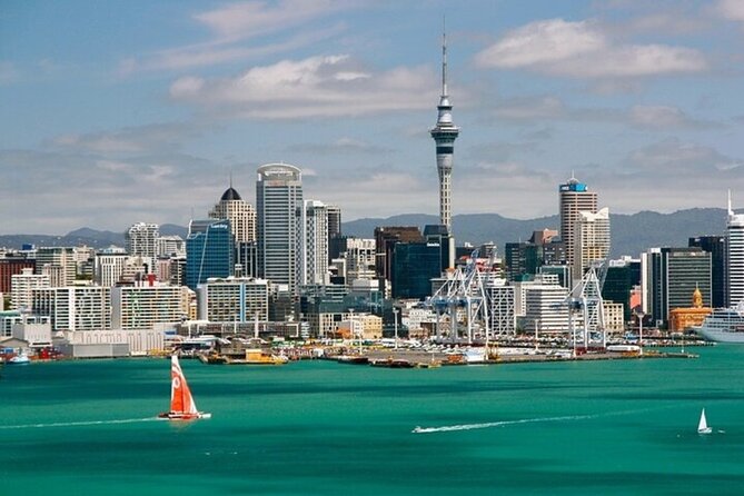 Auckland Best Street Food Tour With A Local Guide - The food: good ingredients, unclear portions