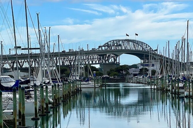Auckland Best Top 5 Spots Half day Tour - Mission Bay and the Rangitoto view