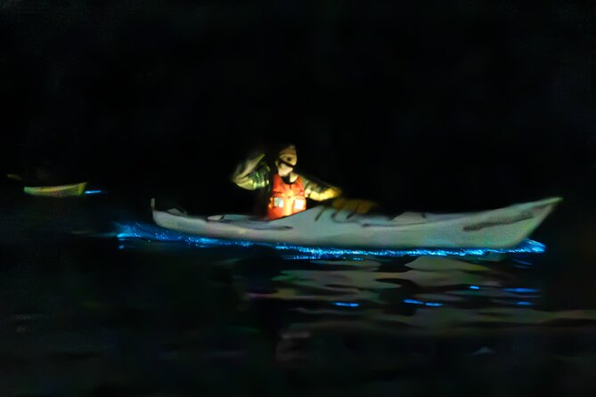 Auckland Bioluminescence Kayak Tour - Key things to know before you paddle