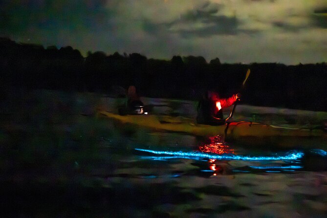 Auckland Bioluminescence Kayak Tour - Guides, instruction, and the comfort factor