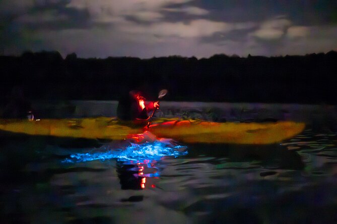Auckland Bioluminescence Kayak Tour - What the $68.26 price really includes