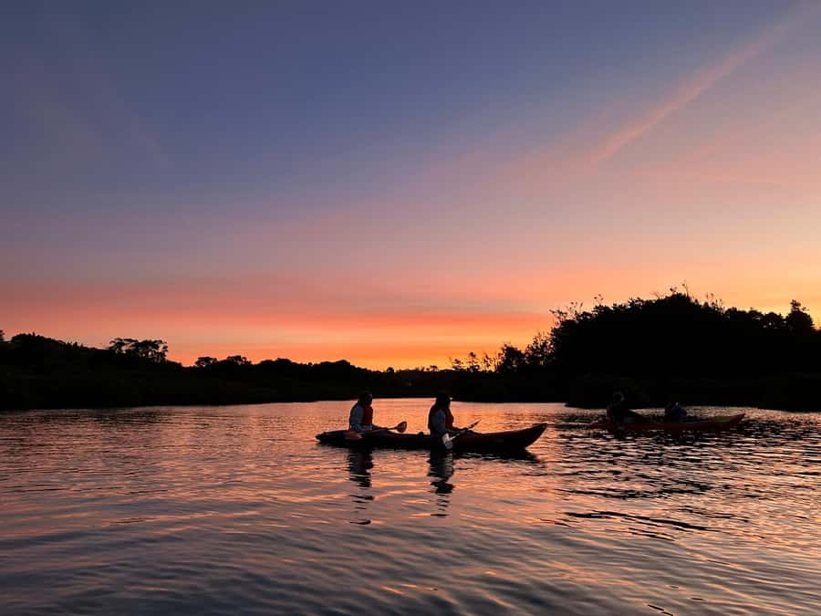 Auckland: Bioluminescence Kayak Tour with Guide - Gearing up for a two-hour paddle