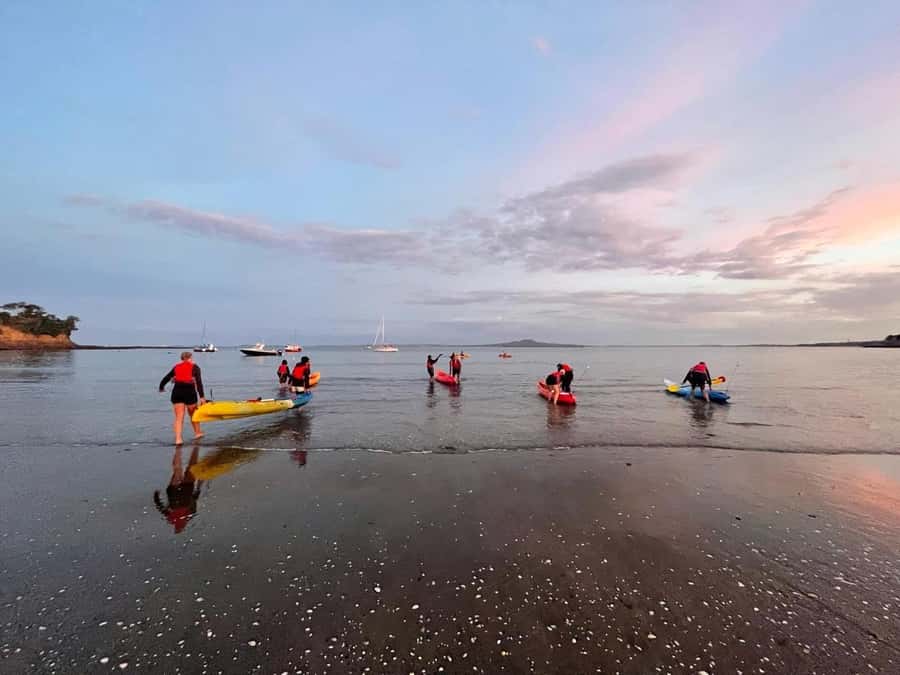 Auckland: Bioluminescence Kayak Tour with Guide - Paddling into the bioluminescent water