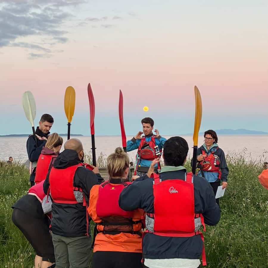 Auckland: Bioluminescence Kayak Tour with Guide - How reliable is the glow?