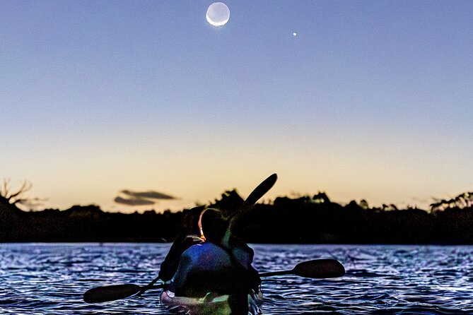 Auckland Bioluminescence Kayak Tour - The first flashes of blue under your kayak