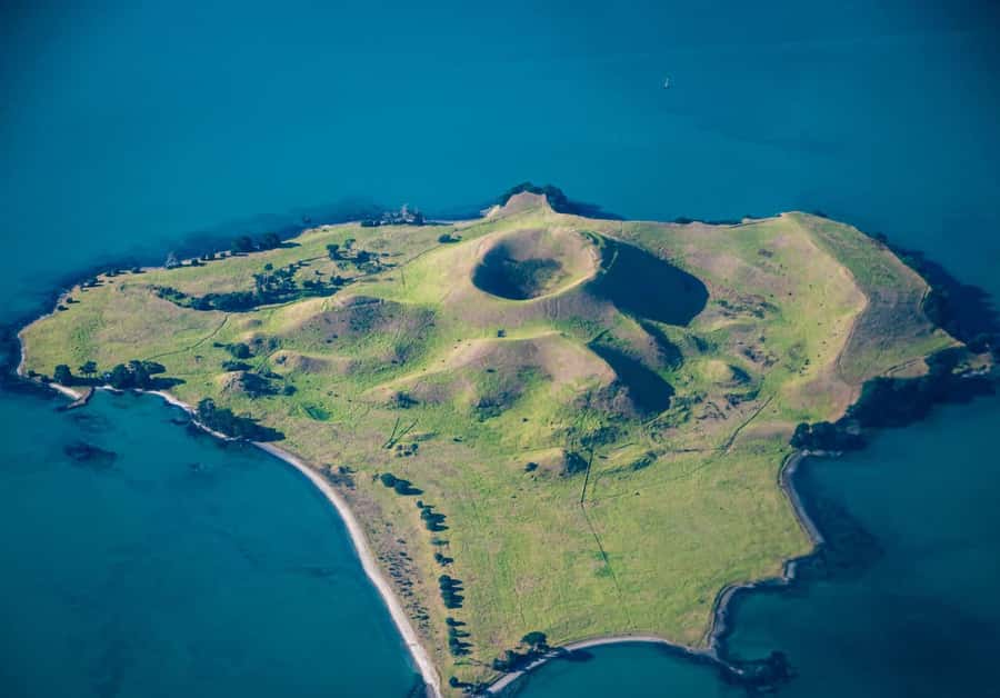 Auckland: Browns Island (Motukorea) Sea Kayak Tour - Key points to know before you book