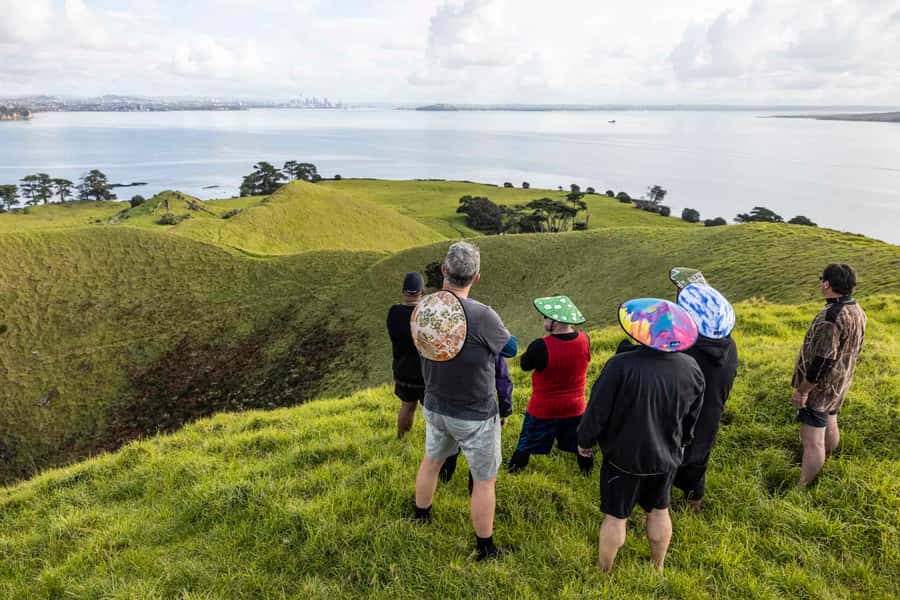 Auckland: Browns Island (Motukorea) Sea Kayak Tour - Should you book this Auckland kayak tour?
