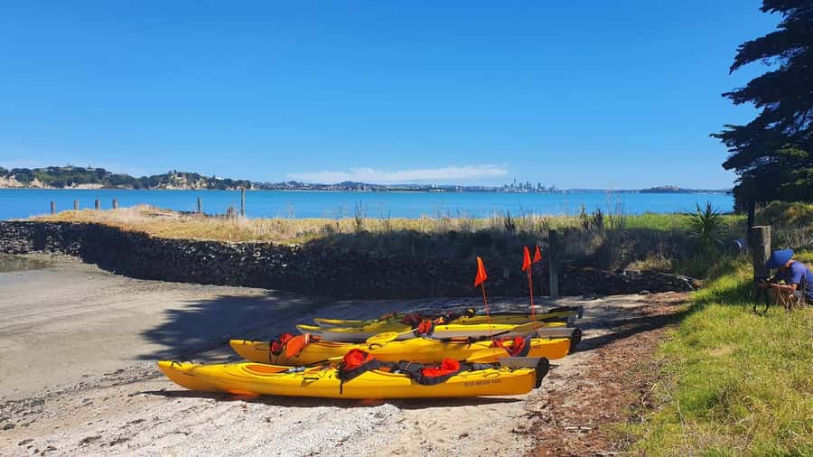 Auckland: Browns Island (Motukorea) Sea Kayak Tour - Landing on Browns Island, or Motukorea