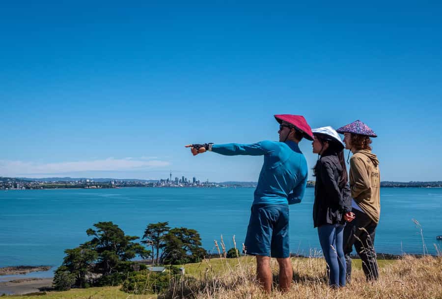 Auckland: Browns Island (Motukorea) Sea Kayak Tour - Is $89 good value?