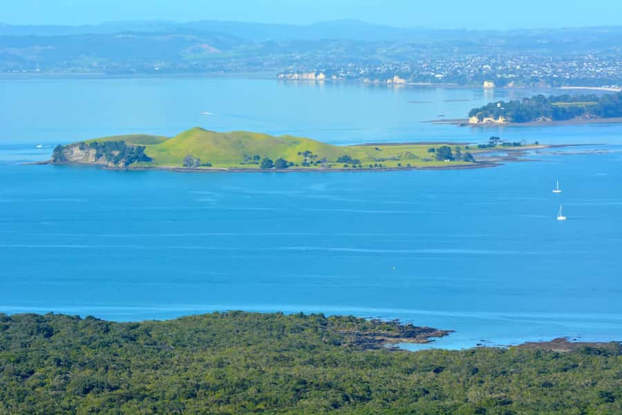 Auckland: Browns Island (Motukorea) Sea Kayak Tour - Who will enjoy Motukorea most?