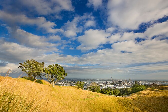 Auckland City and West Coast Full Day Tour - Arataki Visitor Centre and the Waitakere view