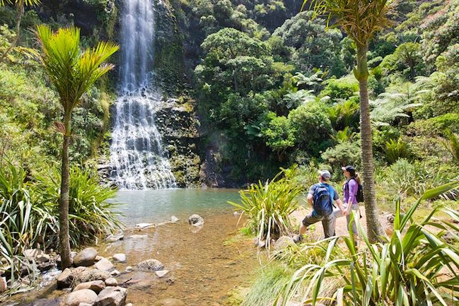 Auckland City and West Coast Luxury Tour - Māori culture and the guide’s role
