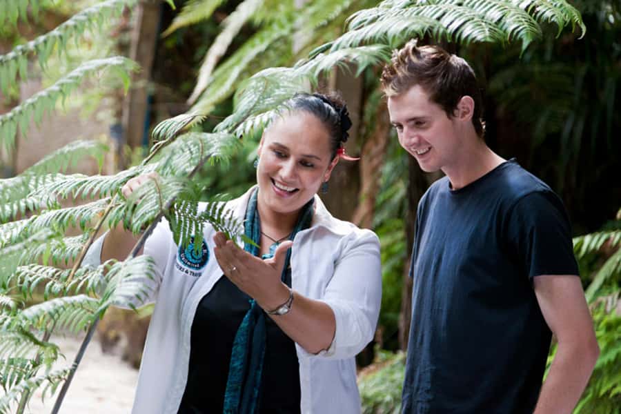Auckland City and West Coast Luxury Tour - Mercedes comfort and a small-group pace