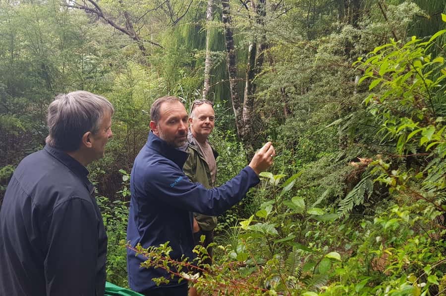 Auckland City, Beaches & Rainforest Premium Small Group Tour - Kiwi-style afternoon tea is simple but welcome