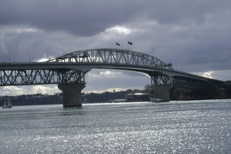 Auckland City, Beaches & Rainforest Premium Small Group Tour - Who should book this Auckland combination?