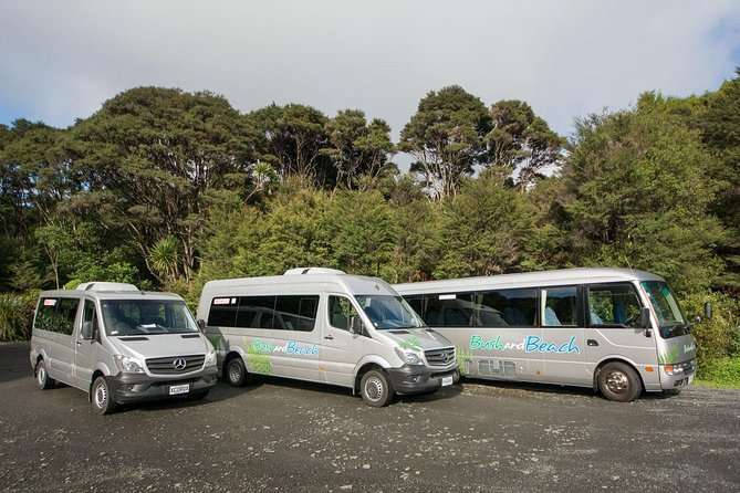 Auckland City Highlights, Afternoon Piha Beach & Rainforest Tour - Piha Beach and the wild west coast