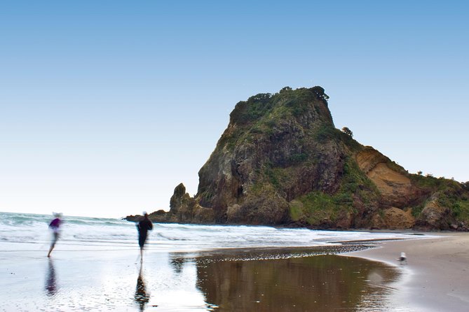 Auckland City Highlights, Afternoon Piha Beach & Rainforest Tour - Mount Victoria and the two harbors