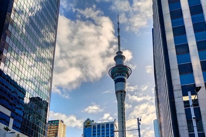 Auckland City Highlights Full Day Tour - Auckland War Memorial Museum: allow 90 minutes and NZ$32 extra