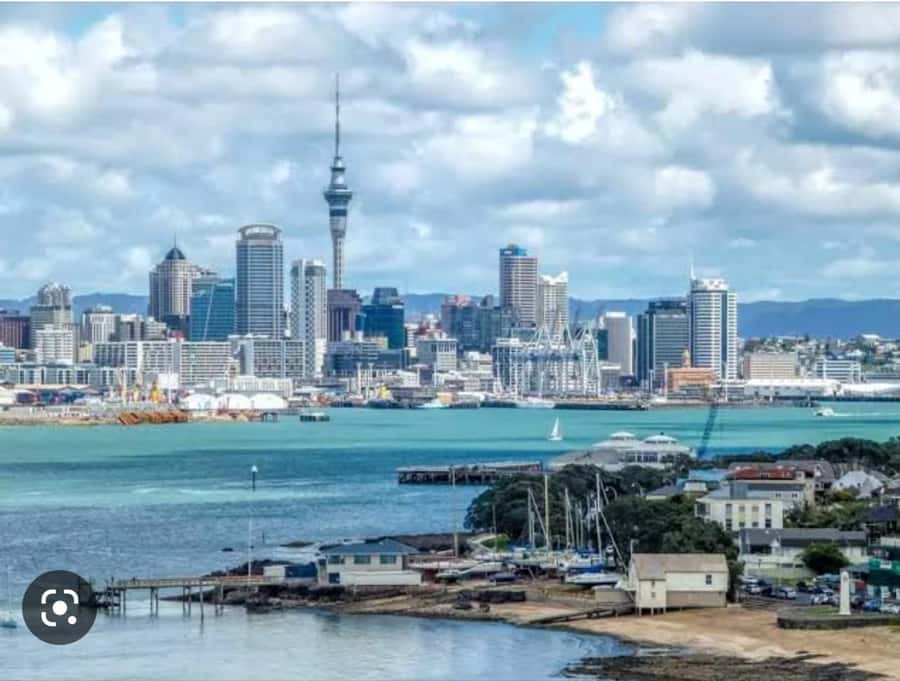 Auckland City Highlights Half Day Tour - What this Auckland tour is really designed to do