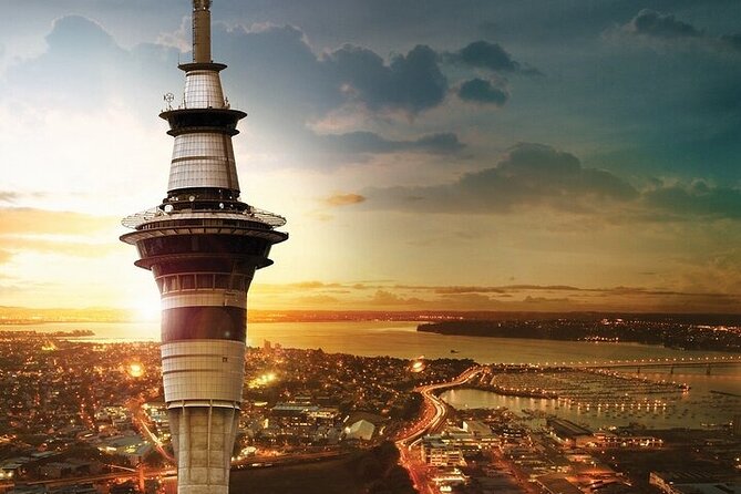 Auckland City Highlights Private Tour - Key points to know before you book
