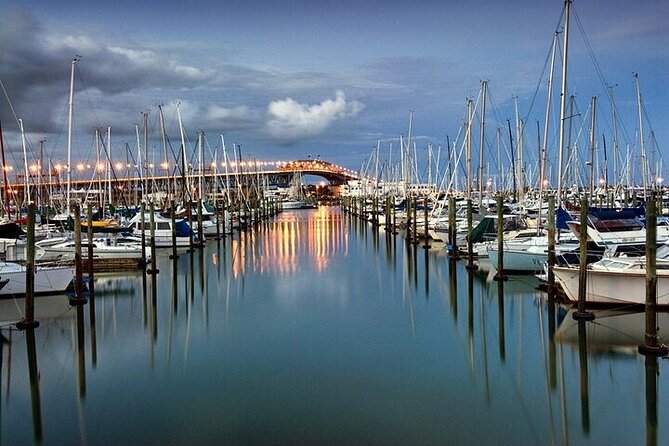 Auckland City Highlights Private Tour - A four-hour introduction to Auckland