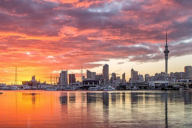 Auckland City Highlights Private Tour - Parnell and Newmarket to finish