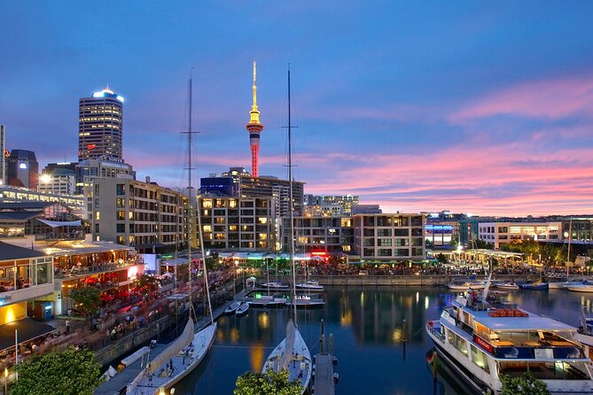Auckland City Hotel to Cruise Ship Transfer by SUV - Booking details that affect your decision