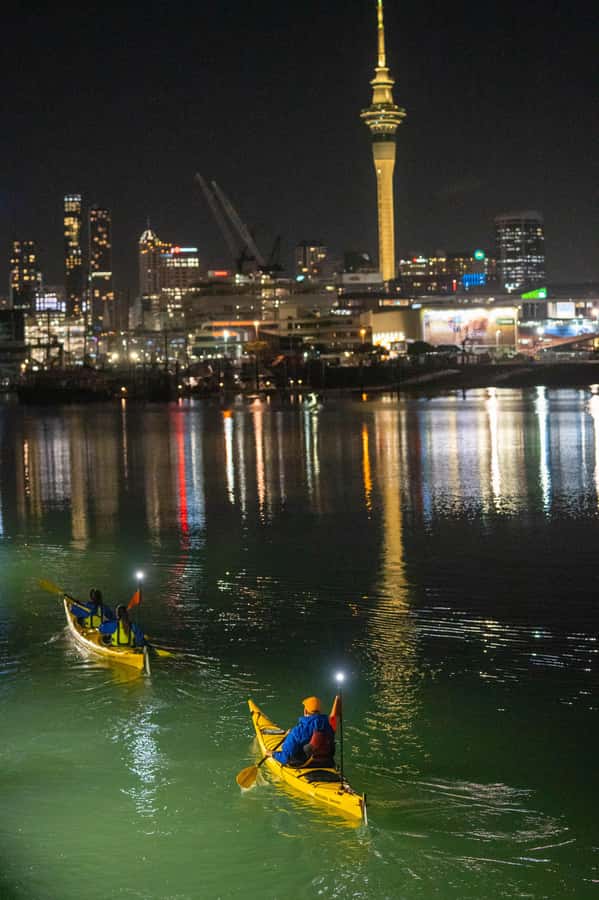 Auckland: City Lights Night Kayak Tour - Key points at a glance