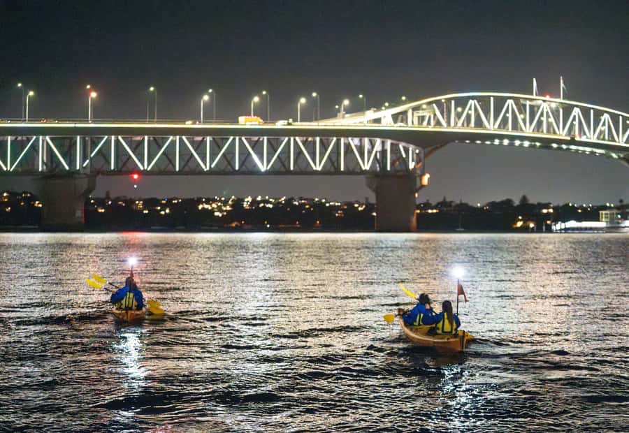 Auckland: City Lights Night Kayak Tour - The Sky Tower from a lower, quieter angle