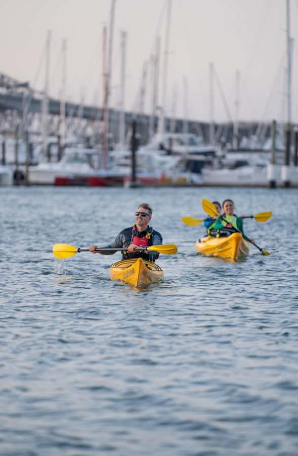 Auckland: City Lights Night Kayak Tour - Viaduct Harbour, Jellicoe Harbour, or North Wharf
