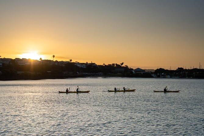 Auckland City Lights Night Kayaking Tour - Why Auckland looks different after sunset
