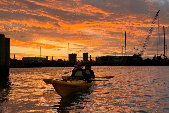 Auckland City Lights Night Kayaking Tour - Looking up at the Sky Tower from the harbour